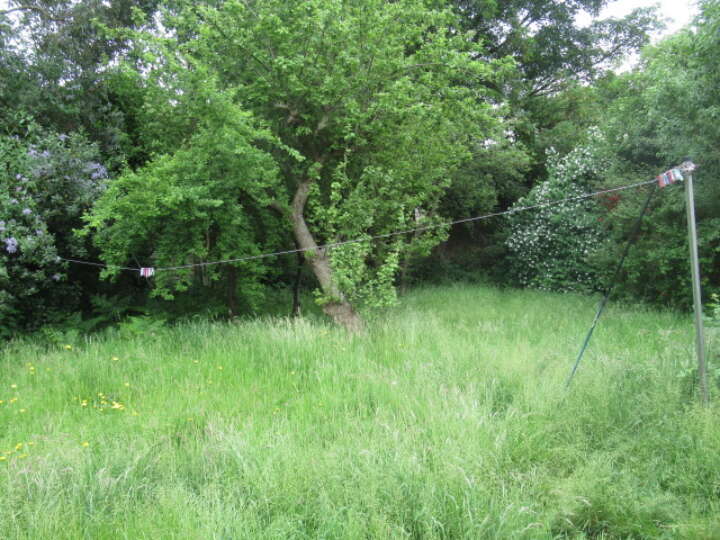 Pennine_garden.JPG