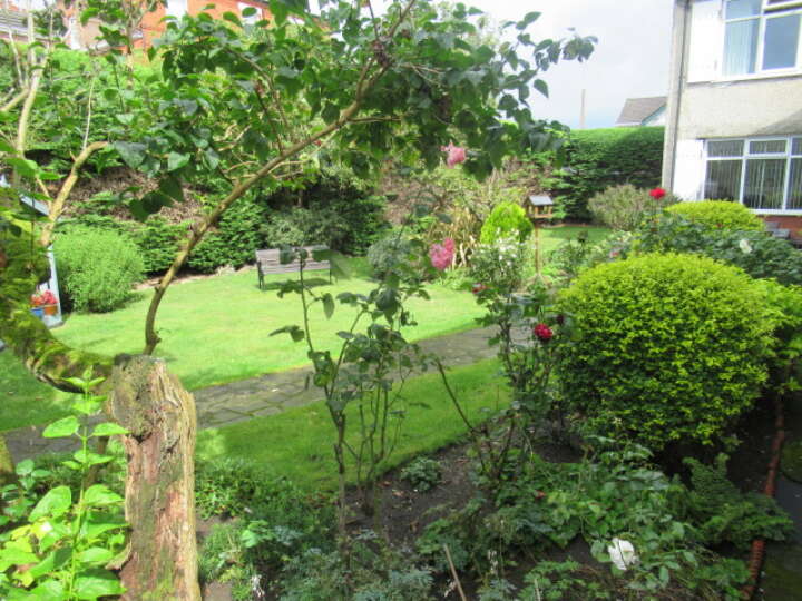 Green_28.JPG
