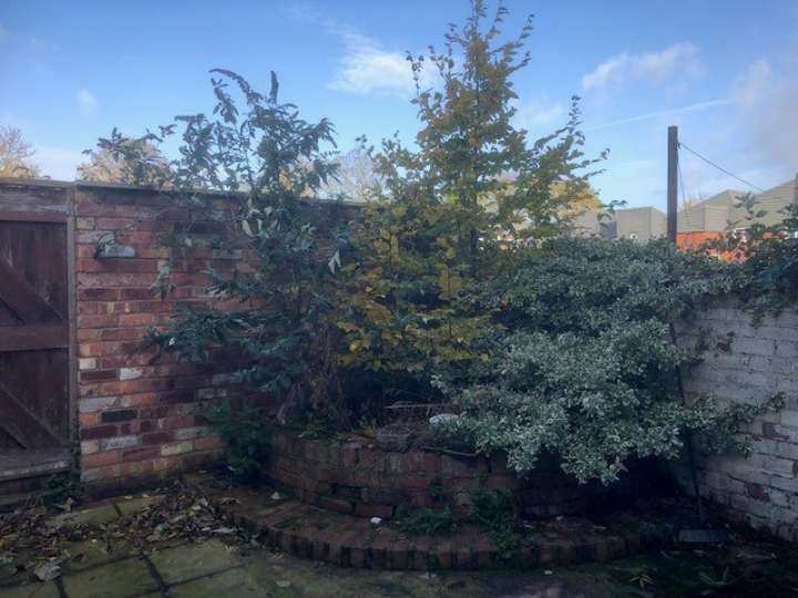 32 Onslow Road - Garden.jpg