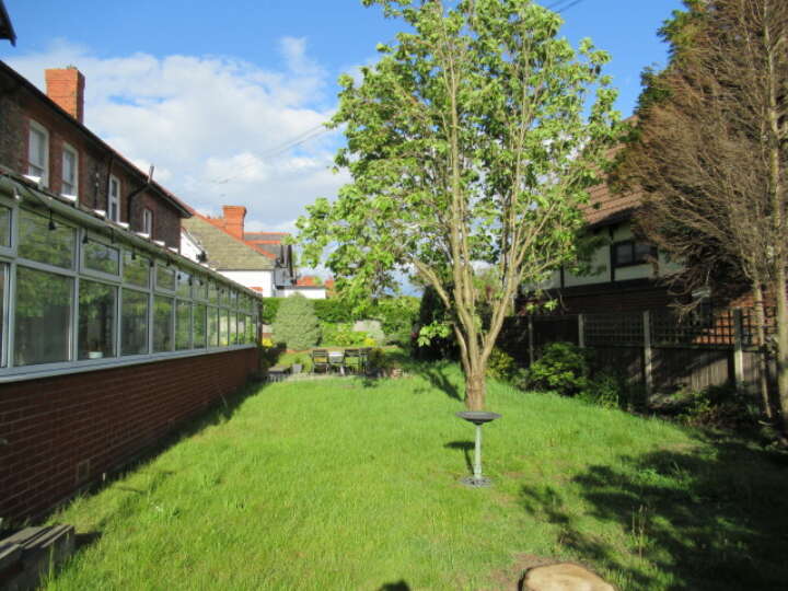 Grove_3.JPG
