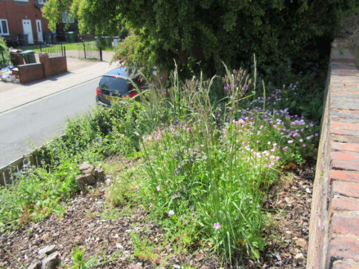Holt_front_garden.JPG