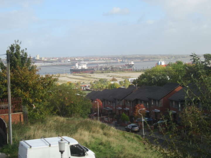 Holly_view.JPG