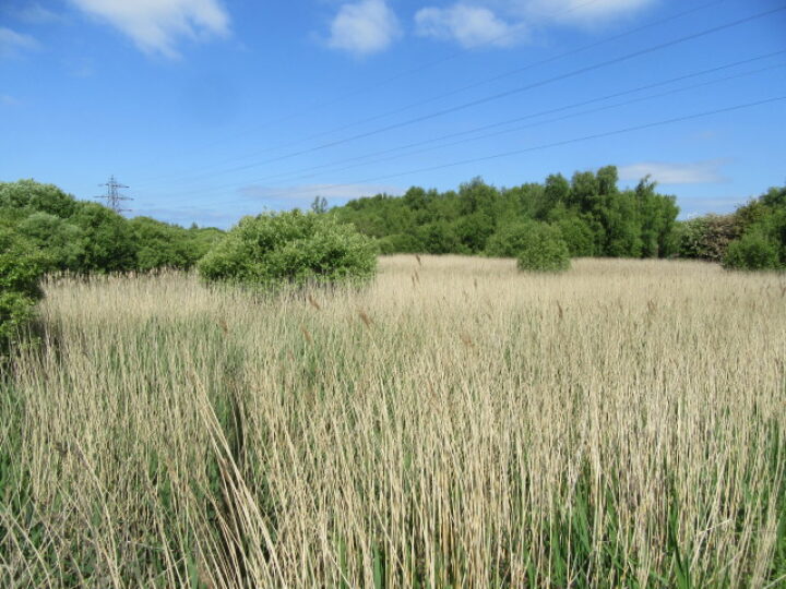 Fender Lane, Bidston Moss, Birkenhead