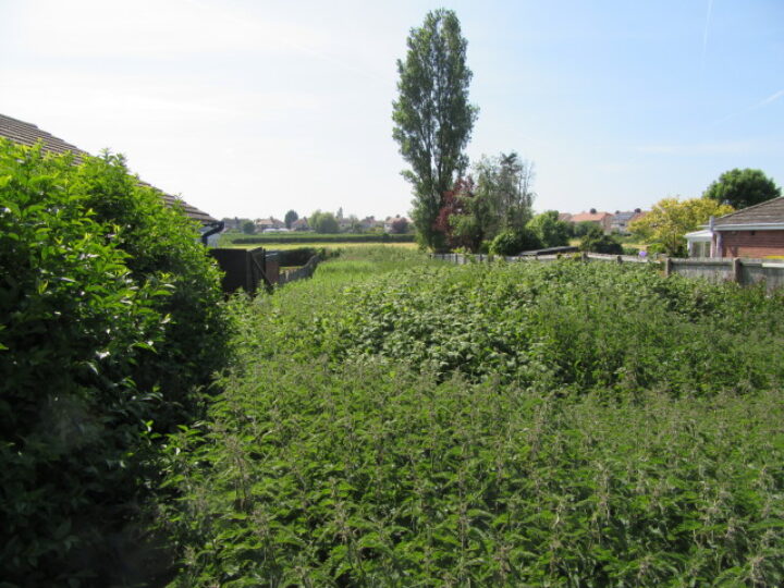Land Adjoining 70 Meadowbrook Road, Moreton